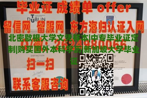 北密歇根大学文凭样本|中专毕业证定制|购买国外本科学历|新加坡大学毕业证